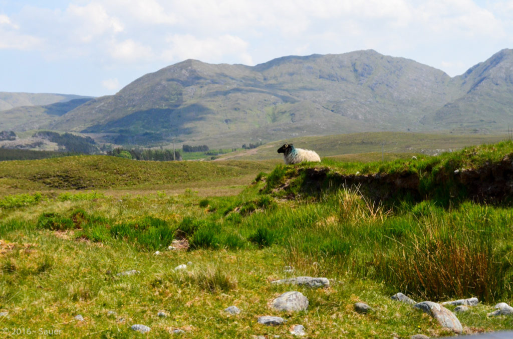 Connemara-Nationalpark