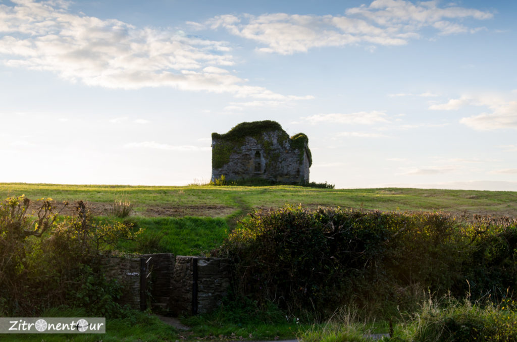 Am Carrigafoyle Castle