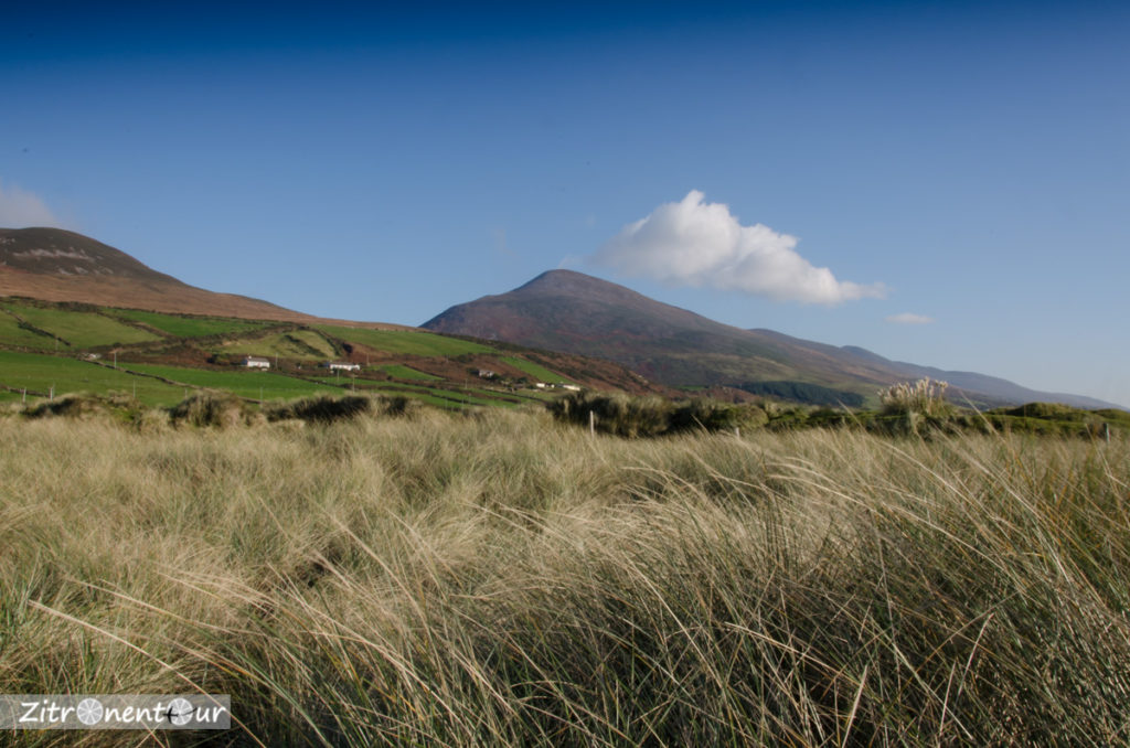 Berge auf der Dingle Peninsula vom Inch Strand