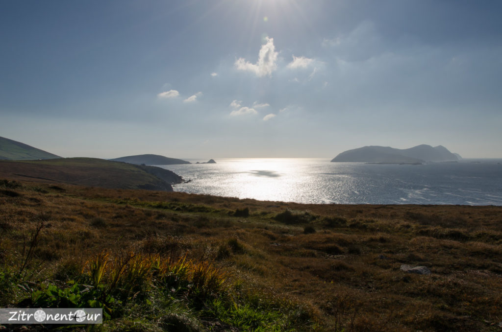 Blick vom Slea Head Drive
