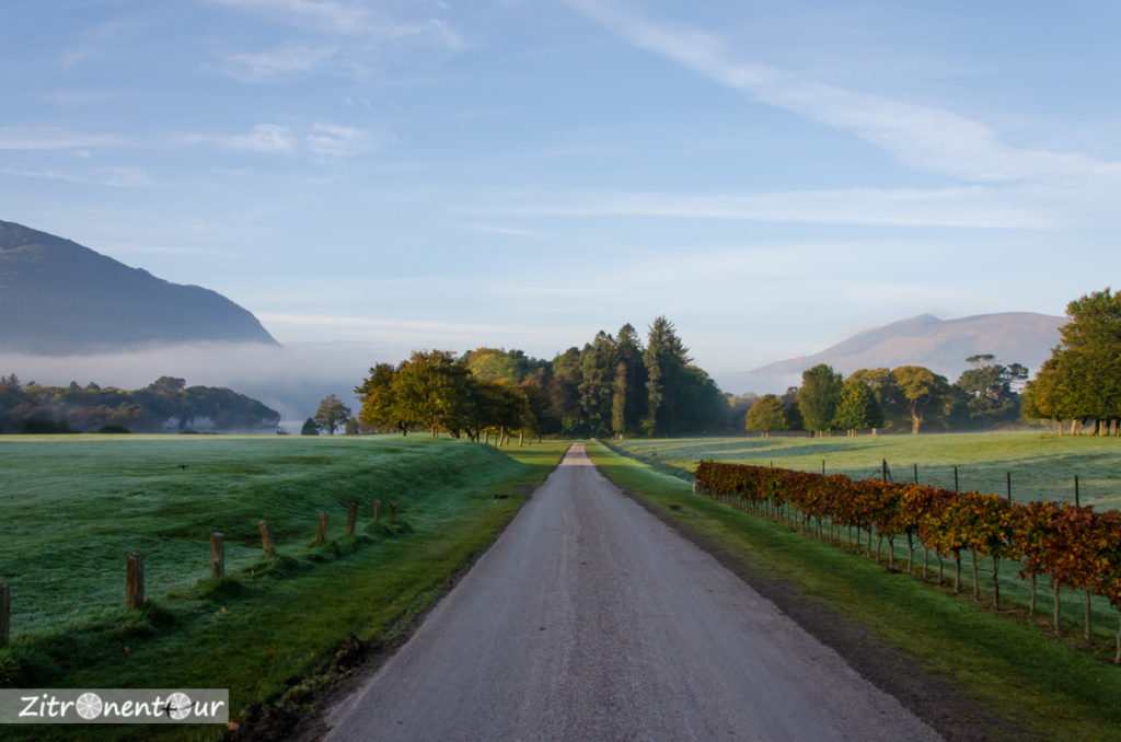 Früher Morgen im Killarney National Park