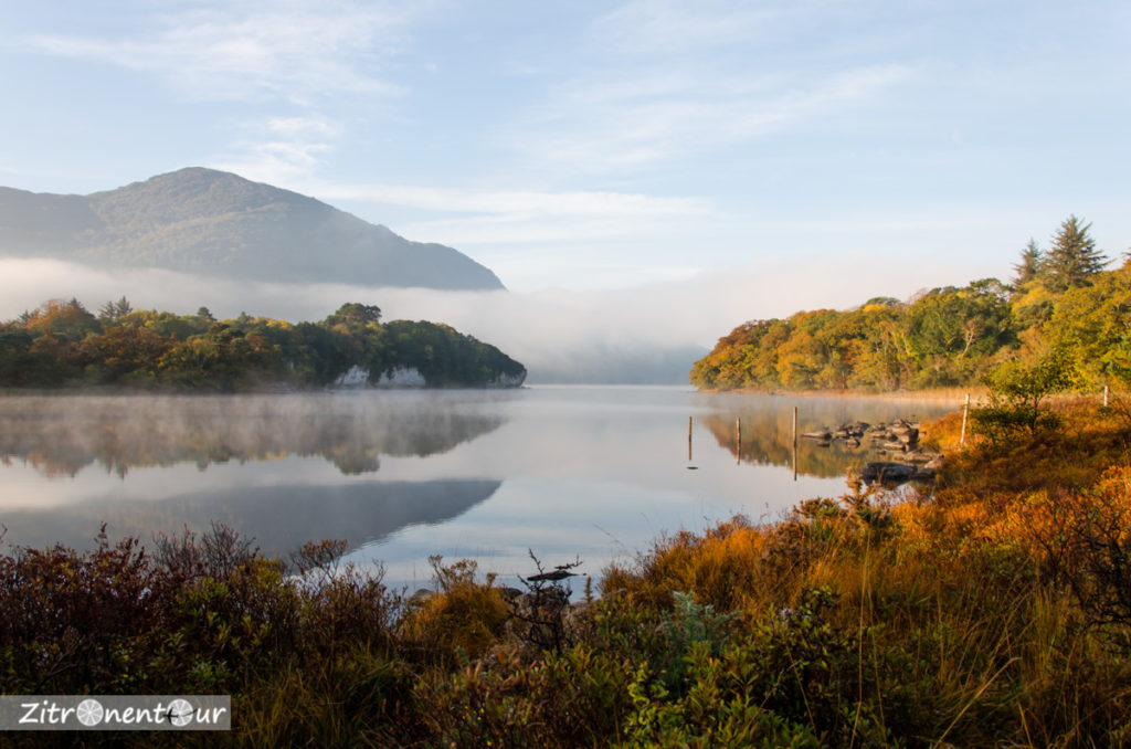 Morgens am See im Killarney National Park
