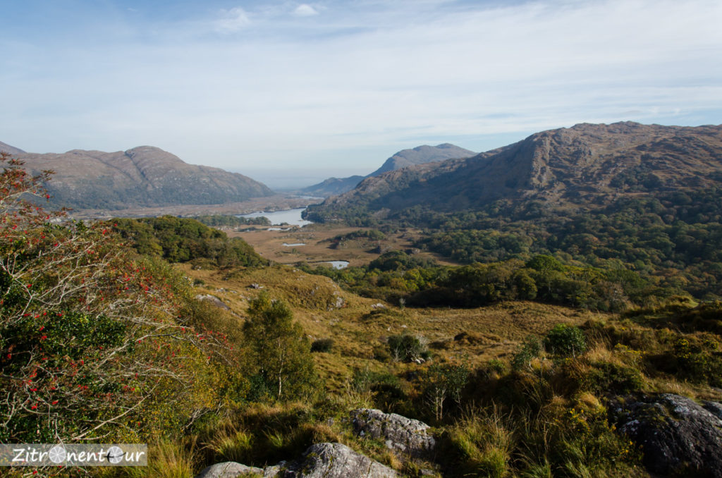 Ladies View im Killarney National Park