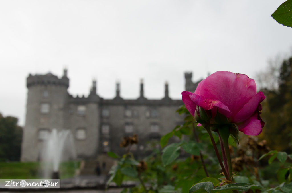 Kilkenny Castle