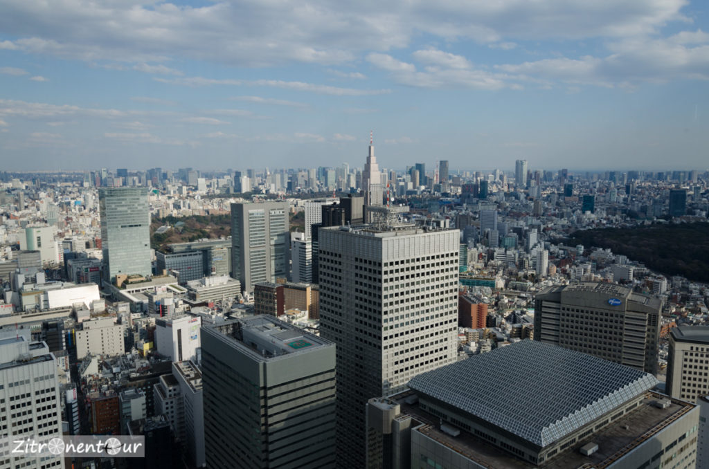 Ausblick über Tokio vom Government-Building mit Skyline