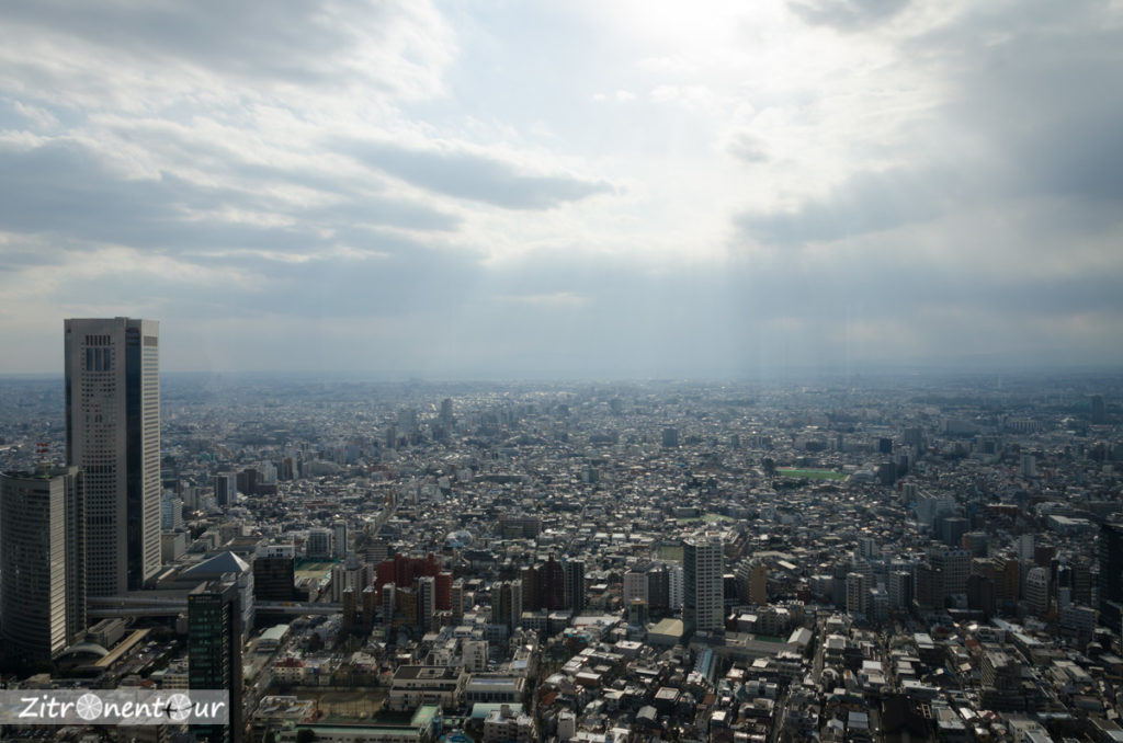 Ausblick über Tokio vom Government-Building
