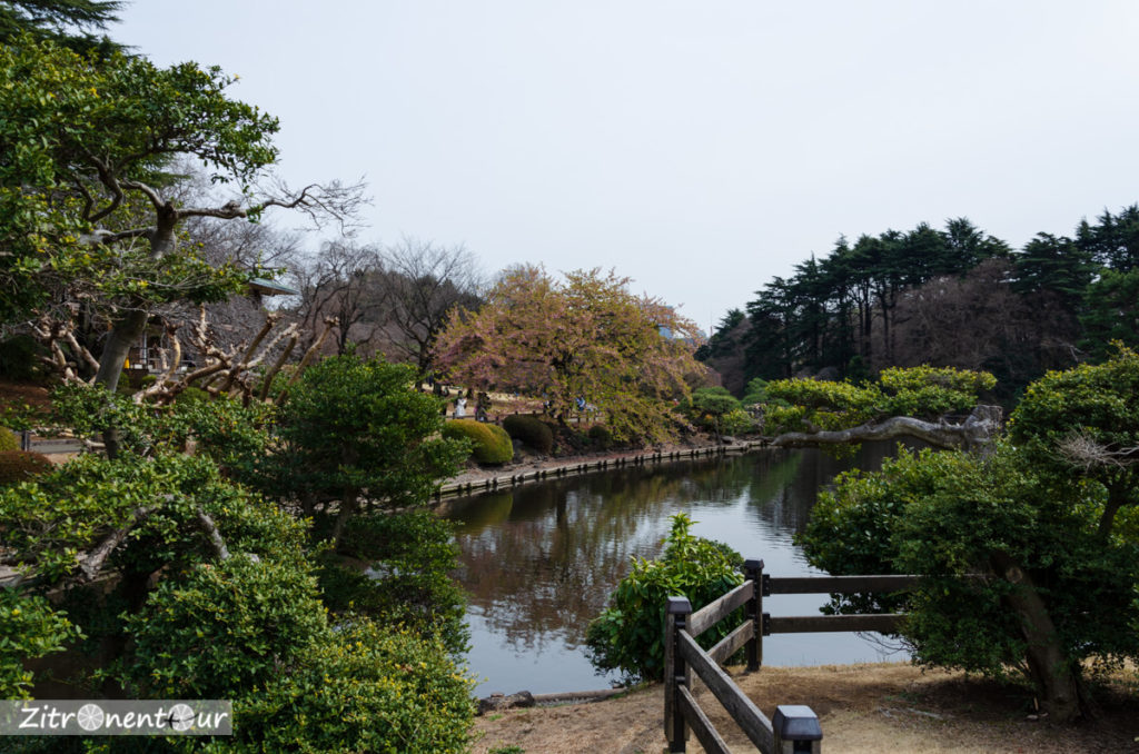 Japanischer Garten im Shinjuku Gyoen Park
