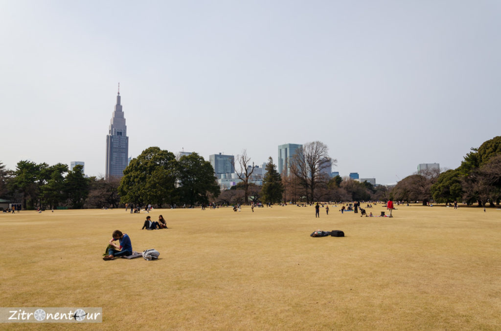 Etwas vertrockneter Englischer Landschaftsgarten im Shinjuku Gyoen Park