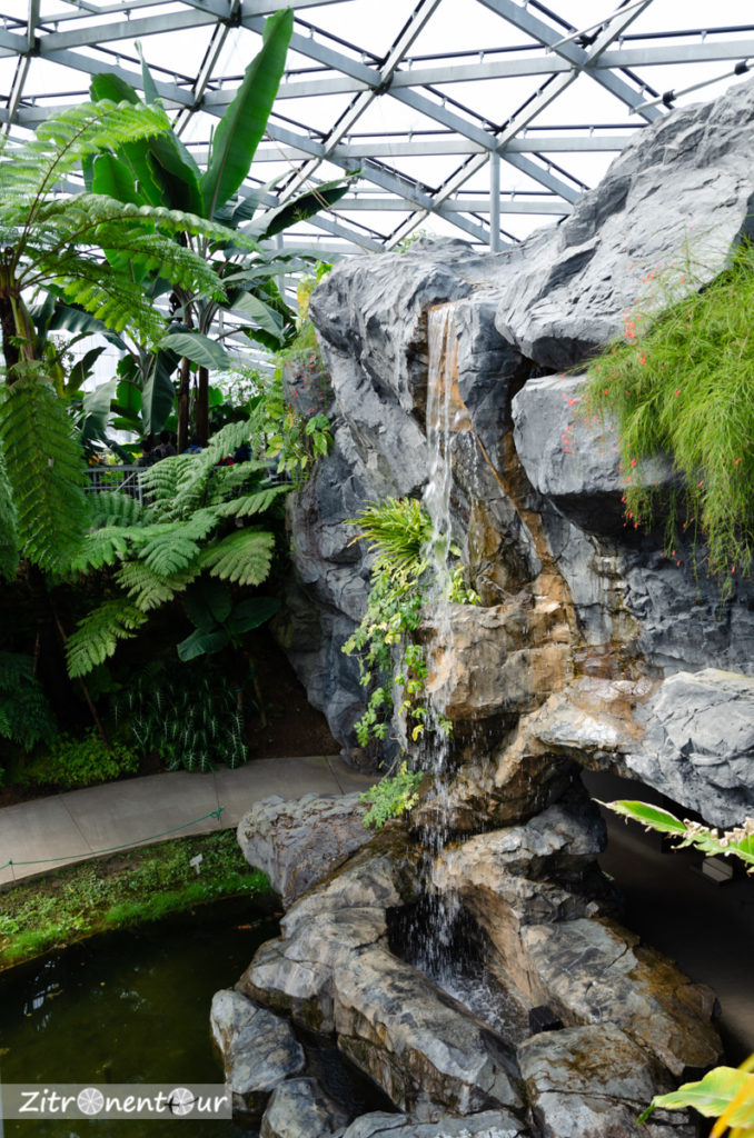 Wasserfall im inneren des Gewächshauses
