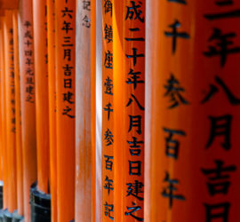 Berühmte rote Torii am Fushimi-Inari-Schrein