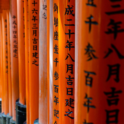 Berühmte rote Torii am Fushimi-Inari-Schrein