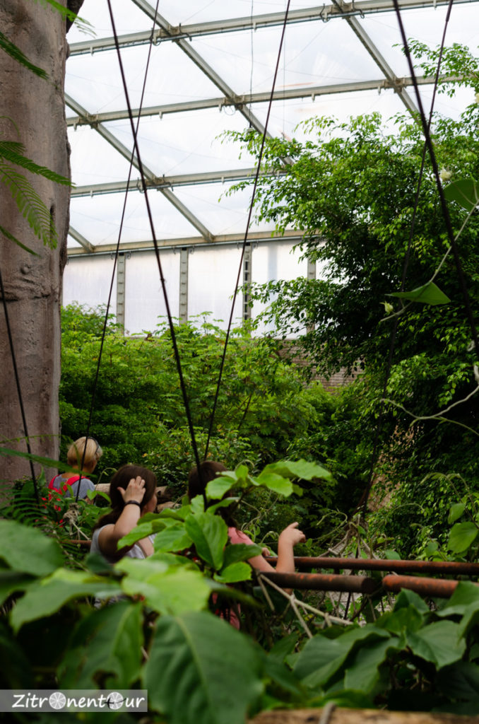 Zoo Leipzig Baumwipfelpfad Gondwanaland