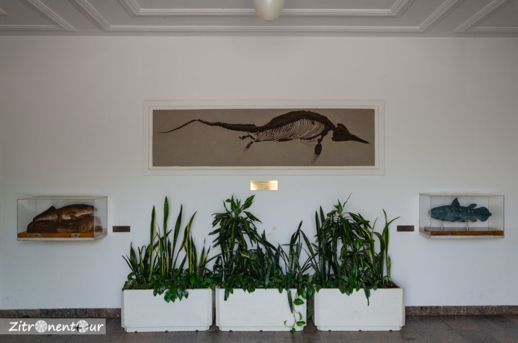 Eingang zum Aquarium Zoo Leipzig