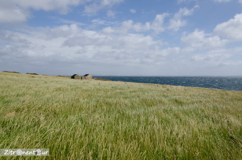 Orkneys - Sicht auf Scapa Flow