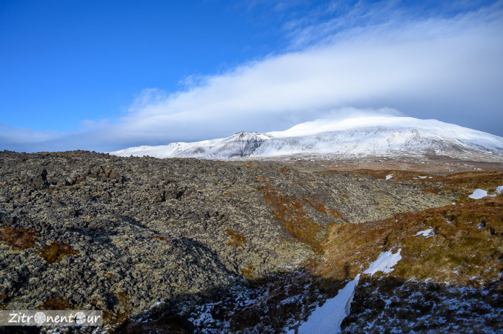 Lavafeld beim Djúpalónssandur, im Hintergrund Snæfellsjökull