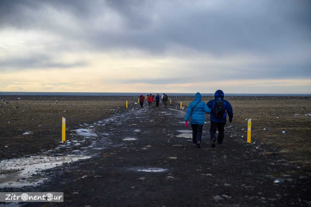 Weg zum Sólheimasandur Flugzeugwrack