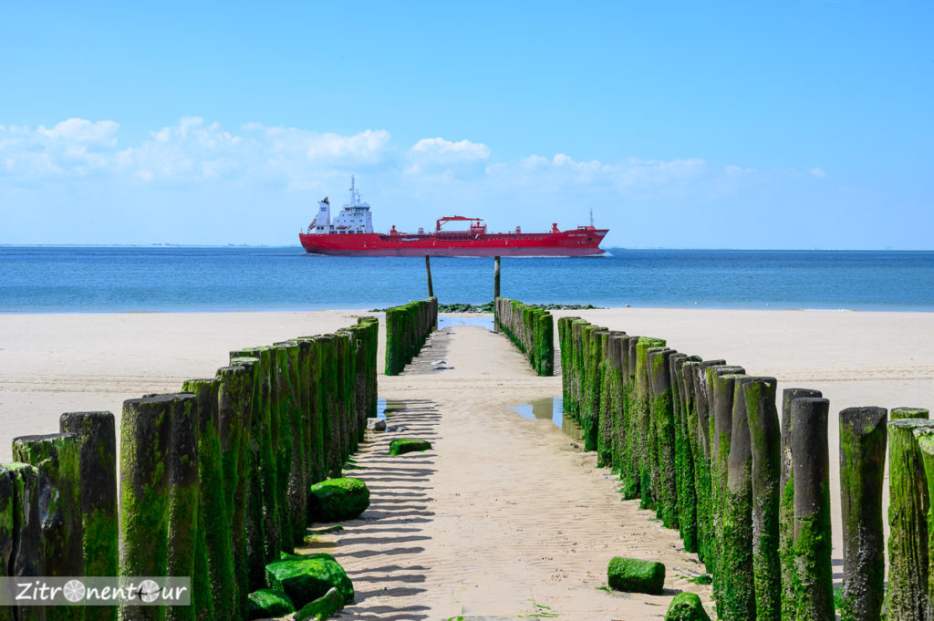 Buhnen und Tanker bei Zoutelande
