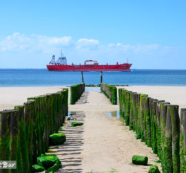 Buhnen und Tanker bei Zoutelande