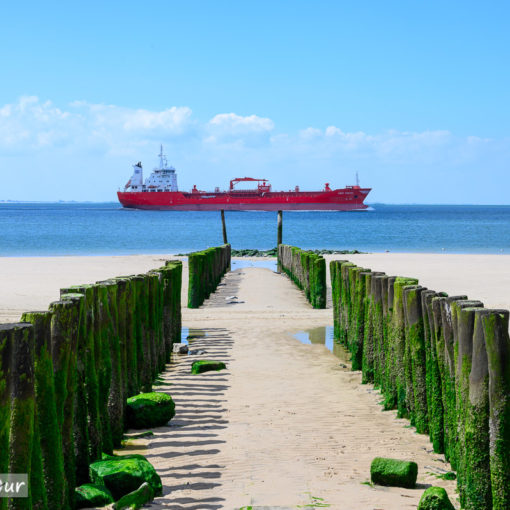 Buhnen und Tanker bei Zoutelande
