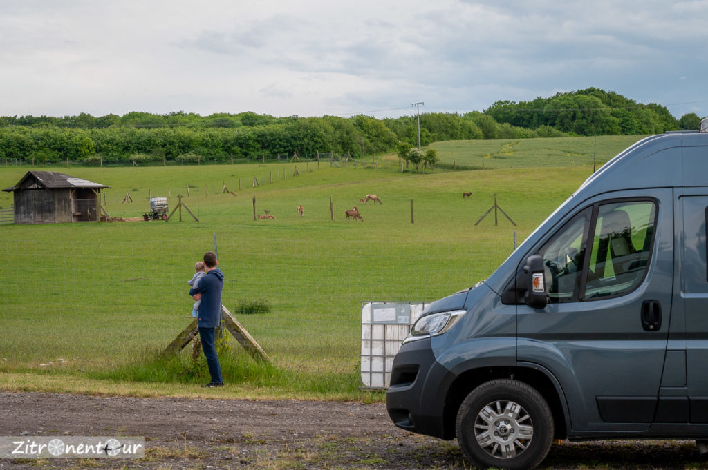 Stellplatz am Wildgehege Rügen