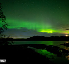 Polarlicht im Abisko Nationalpark