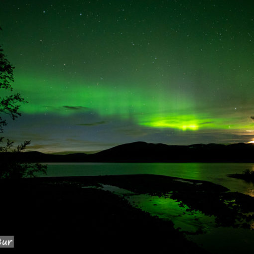 Polarlicht im Abisko Nationalpark